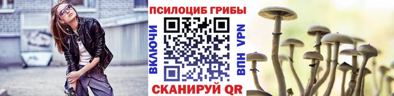 Галлюциногенные грибы ЛСД  закладка  Южно-Сухокумск 